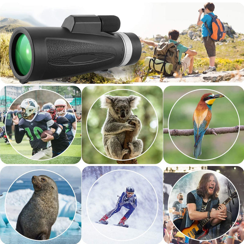  [AUSTRALIA] - 12X50 Monocular Telescope - Palwin High Power Monocular Telescope with Smartphone Holder & Tripod - Low Night Vision Waterproof Zoom Telescope - BAK4 Prism for Wildlife Bird Watching Hunting Camping