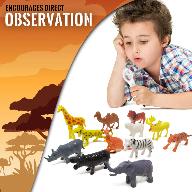 WhizBuilders Kids Explorer Kit : Outdoor Binoculars , Animal Figurines , Hand Crank Flashlight , Safari Boonie Hat , Camping Gear , Magnifying Glass , Compass , Educational Toddler Toys for Kids - LeoForward Australia