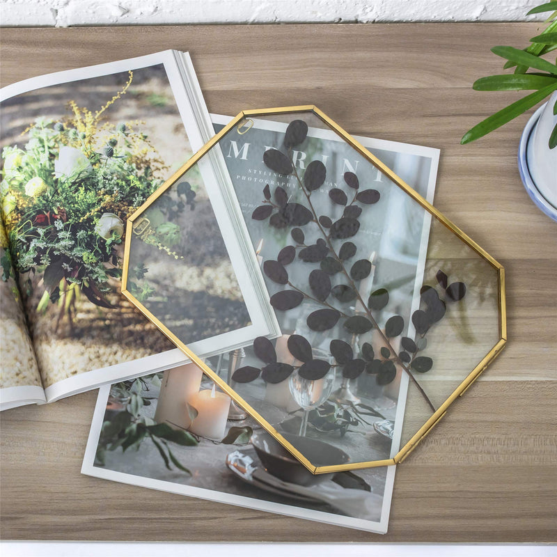  [AUSTRALIA] - NCYP Brass Hanging Photo Frame, Double Glass Wall Decor Hanging 8X10 inches Octagon Herbarium for Pressed Dried Flowers Plant Specimen Poster, Gold Clear Floating Frame Style, Glass Frame Only 8x10inches