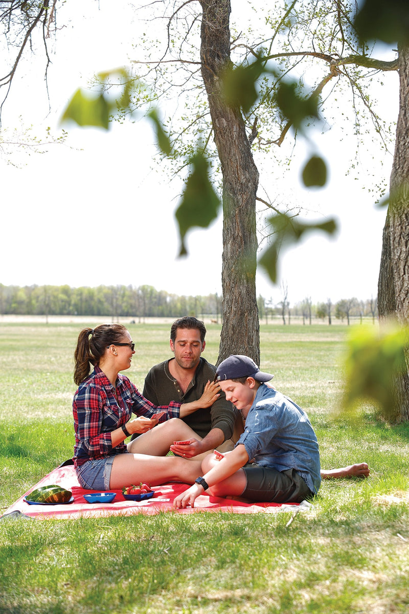  [AUSTRALIA] - Coghlan's 1966 Picnic Blanket