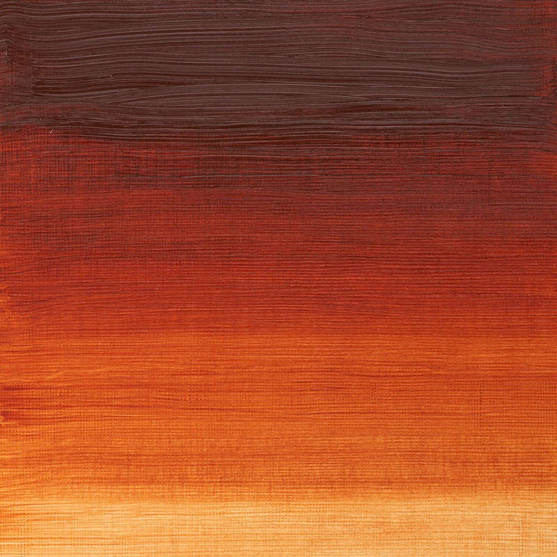 Winsor & Newton Winton Oil Color Paint, 37-ml Tube, Burnt Sienna - LeoForward Australia