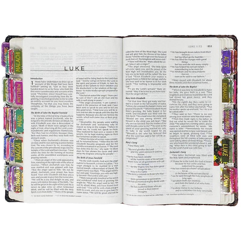  [AUSTRALIA] - Mr. Pen- Bible Tabs, 75 Tabs, Laminated, Bible Journaling Supplies, Bible Tabs Old and New Testament, Bible Tabs for Women, Bible Tabs for Journaling Bible, Bible Book Tabs, Books of The Bible Tabs