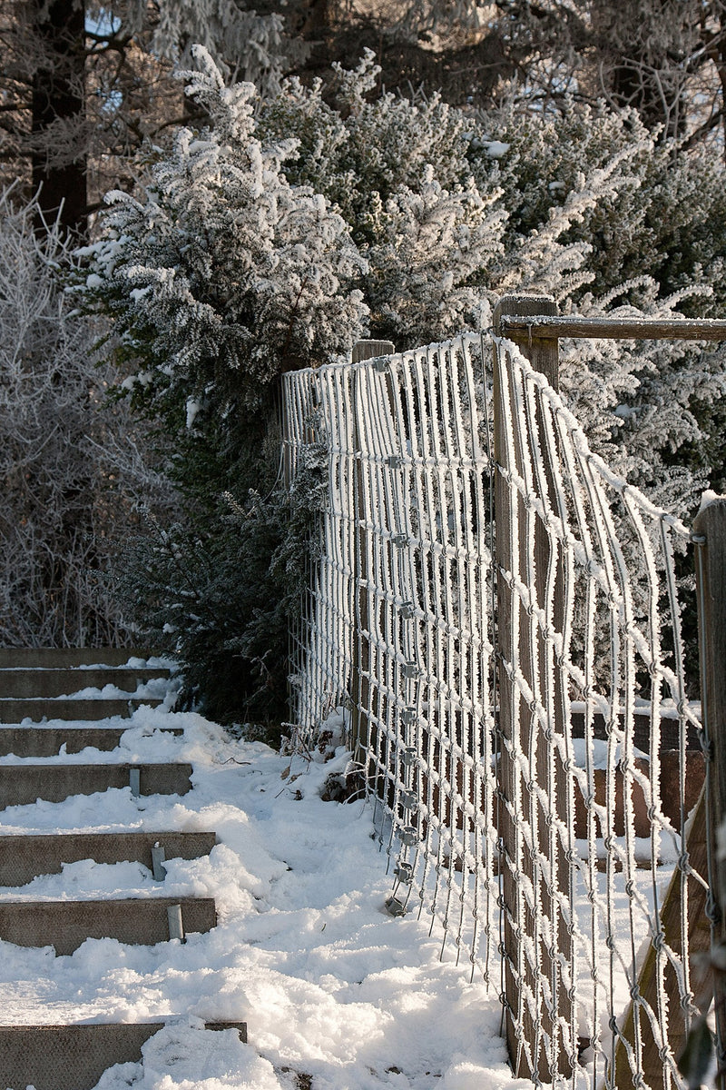  [AUSTRALIA] - Gardner Bender 46-311UVBFZ Xtreme Temperature Cable Tie, 11 inch, 50 lb, Cold and Hot Weather, Electrical Wire and Cord Management, Nylon Zip Tie, 100 Pk, UV Resistant Black 100 Pack 11 inch.