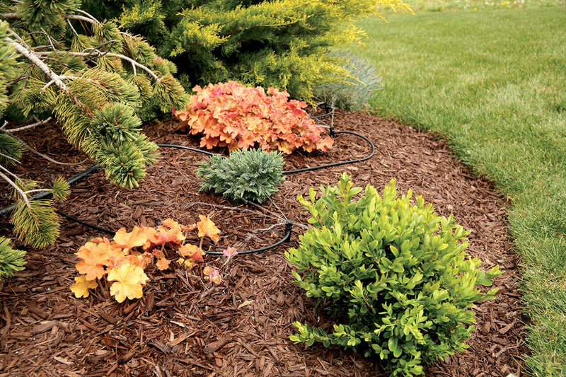  [AUSTRALIA] - Rain Bird MBF4PKS Drip Irrigation Micro-Bubbler on Stake, 360° Full Circle Pattern, 0 - 3' Spray Distance, 4-Pack Staked 360° Full Circle Pattern