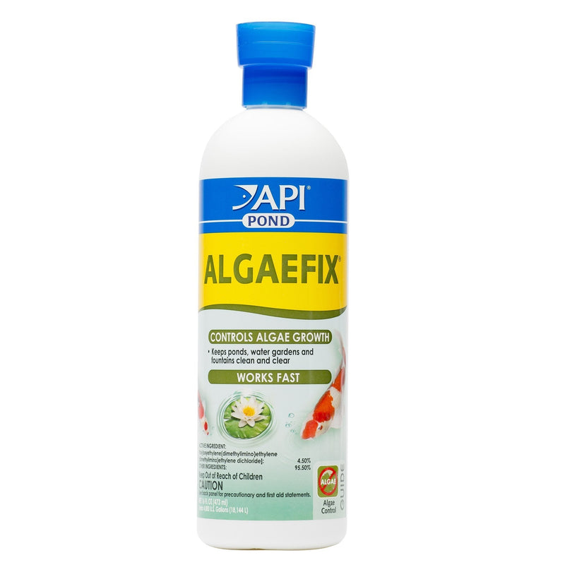 API POND ALGAEFIX Algae control, Effectively controls Green water algae, String or Hair algae and Blanketweed, Use as directed when algae blooms and as regular care 16 Fl Oz (Pack of 1) - LeoForward Australia