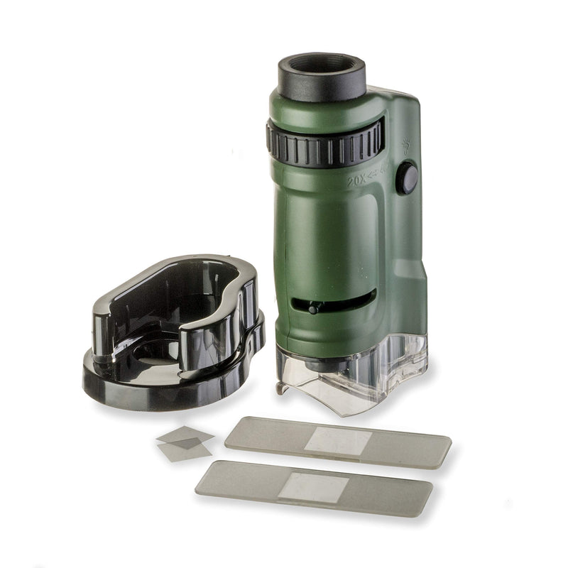  [AUSTRALIA] - Carson MicroBrite 20x-40x LED Lighted Pocket Microscope for Learning, Education and Exploring (MM-24, MM-24MU), Green Single Pack