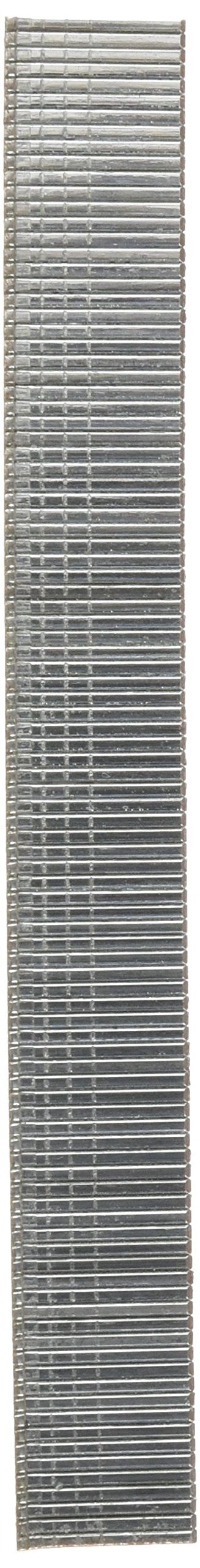  [AUSTRALIA] - BOSTITCH Brad Nails, 18GA, 5/8-Inch, 3000-Pack (BT1300B) , Brown