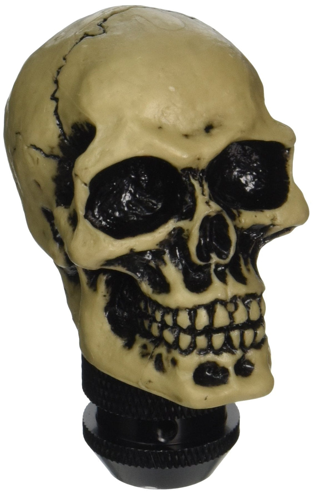  [AUSTRALIA] - Pilot Automotive PM-2271 Lifelike Skull Manual Shift Knob