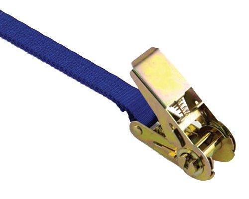  [AUSTRALIA] - PROGRIP 309610 Cargo Tie Down Standard Duty Ratchet with Webbing Strap and No Hook on End, 12' x 1" 12 ft. x 1 in. No Hooks