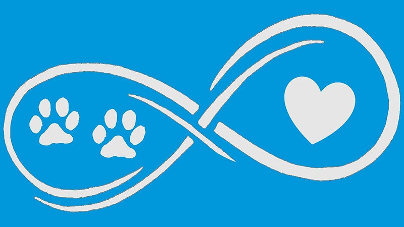  [AUSTRALIA] - Bluegrass Decals Infinity Paws Heart Dog or Cat Decal Sticker (White, 7")