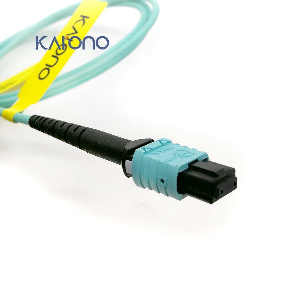 Karono MPO-MPO Fiber Optic Patch Cable, Type B OM3 33 ft (10M) Multimode Fiber, 8 Cores Fiber for QSFP+Transceivers MTP Compatible Cabling System, Patch Panel Cabinet, FTTH, EPON Application, Aqua 33ft (10M) - LeoForward Australia