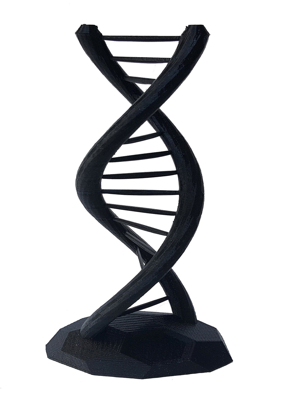 DNA Double Helix Science Gift 3D Printed - LeoForward Australia