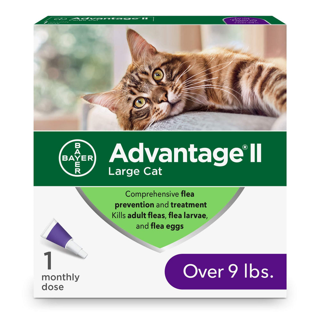 Advantage II Flea Prevention and Treatment for Large Cats, Over 9 Pounds 1-pack Large Cat Only - LeoForward Australia