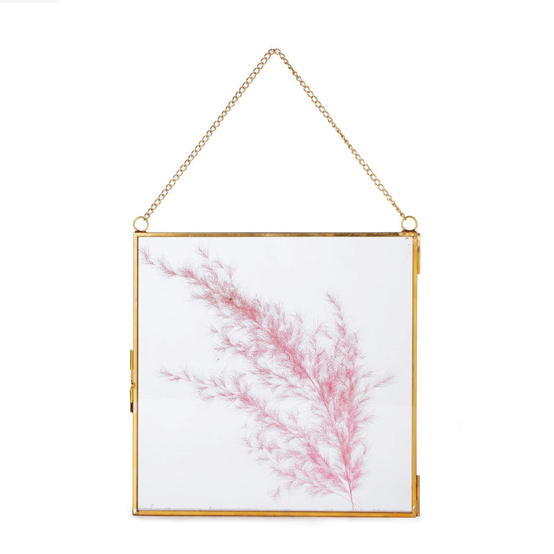  [AUSTRALIA] - NCYP Large Wall Hanging Brass Glass Artwork Certificate Photo Picture Display Frame Geometric Ornament Plant Specimen Clip Modern Vertical Decor Card Holder Small, Glass frame only small 7.87" x 7.87"