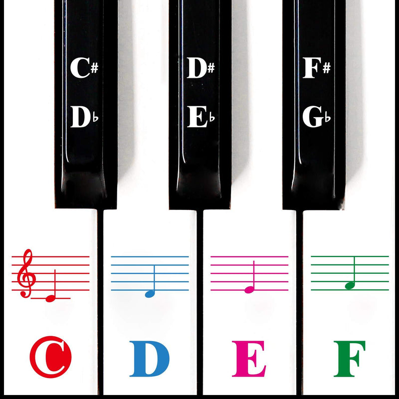 Piano Keyboard Stickers for 88/61/54/49/37 Key.Colorful Bigger Letter,Thinner Material,Transparent Removable,with Cleaning Cloth 88 Keys Large Bolded Letter Multi-Colored - LeoForward Australia