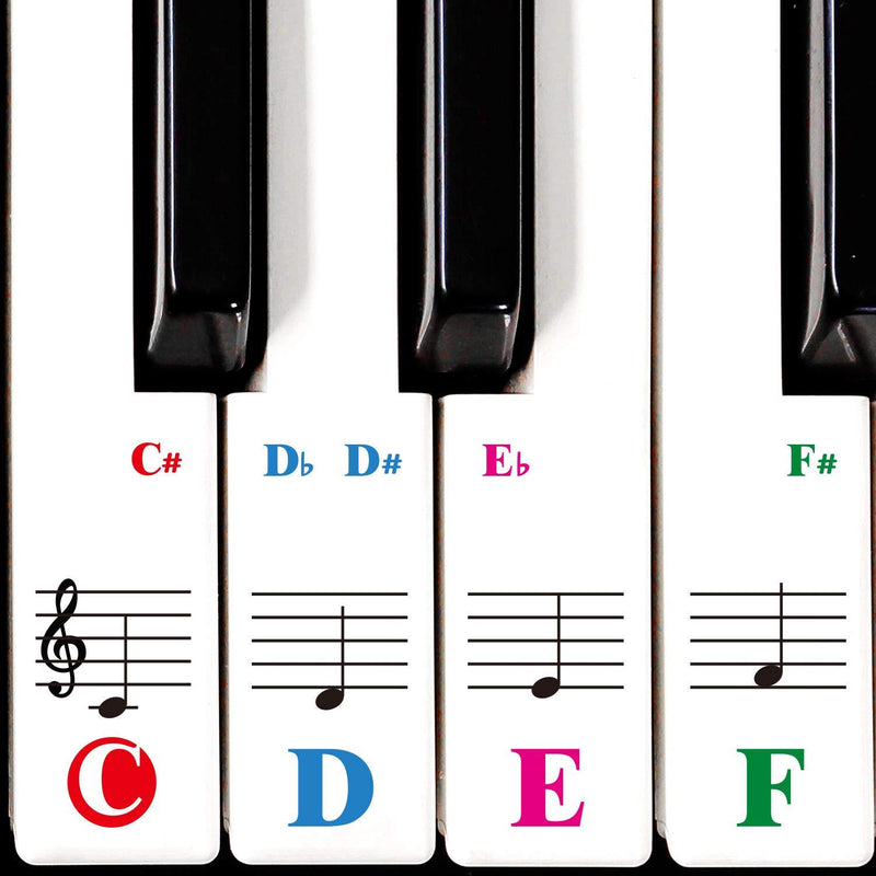 Piano Keyboard Stickers Specially for 61/54/49/37 Key.Colorful Bigger Letter,Thinner Material,Transparent Removable,with Cleaning Cloth 61 Keys Large Letter Multi-Colored - LeoForward Australia