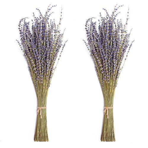  [AUSTRALIA] - Timoo Dried Lavender Bundles 100% Natural Dried Lavender Flowers for Home Decoration, Photo Props, Home Fragrance, 2 Bundles Pack