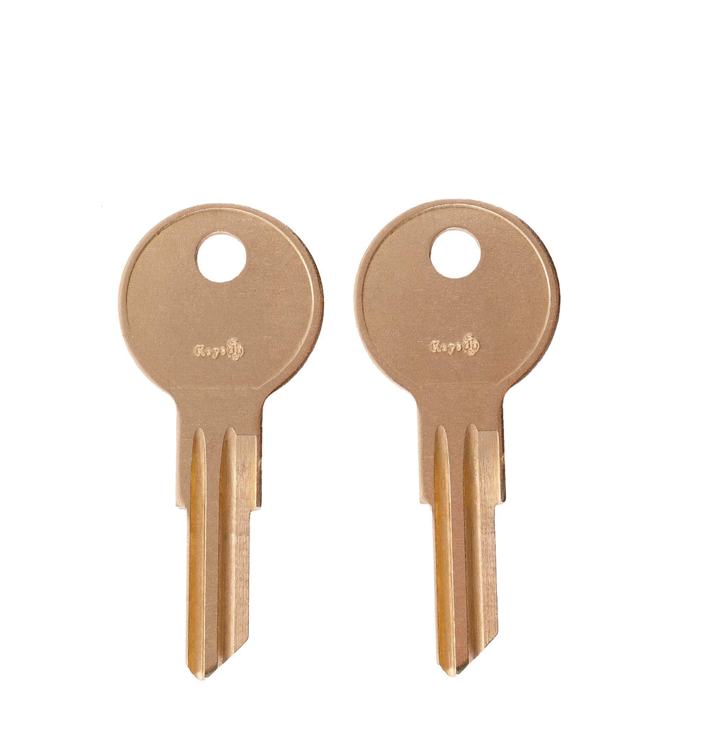  [AUSTRALIA] - B01 B02 B03 B04 B05 Pair of 2 - Husky Keys New Keys for Husky Tool Box Home Depot Toolbox Replacement Key pre Cut to Code by keys22 (B01) B01