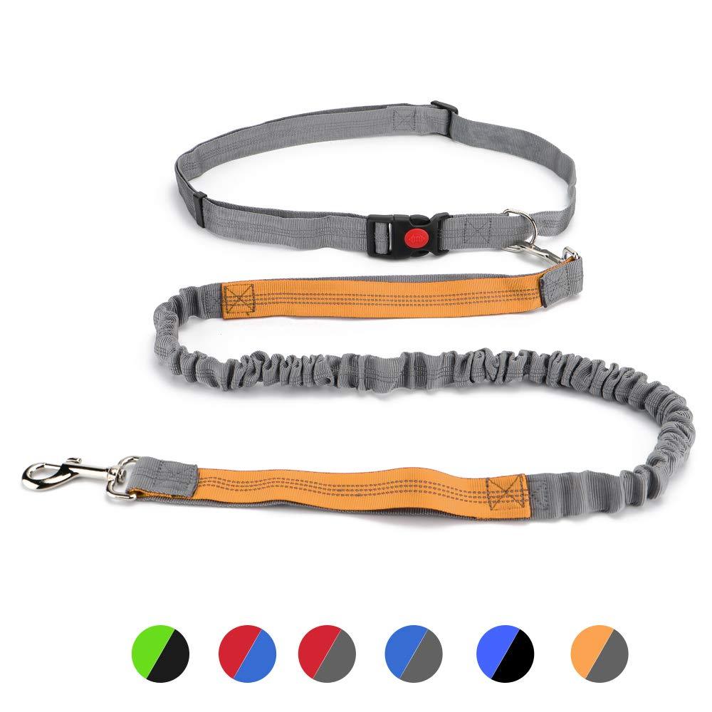  [AUSTRALIA] - DIFFLIFE Hands Free Dog Leash, Retractable Dual Handle Bungee Leash, Adjustable Waist Dog Running Belt for Running, Walking, Training, Hiking, Traveling（Gray/Orange） (YUNDA9214) Gray/ Orange