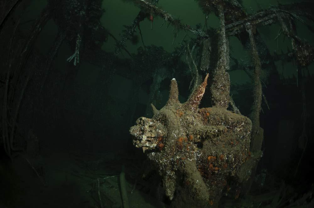  [AUSTRALIA] - Posterazzi PSTMBE400075ULARGE Steering Wheel of The Jan Hubert Shipwreck, Langenes, Norway Photo Print, 24 x 36, Multi