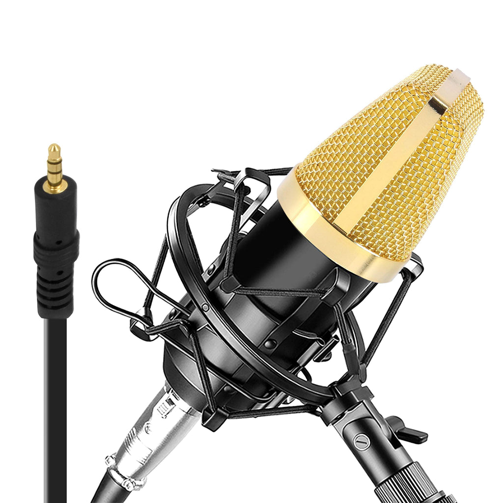  [AUSTRALIA] - Condenser Microphone Bundle, 3.5 mm Recording Microphone, Shock Mount Plug and Play,Computer Microphone, Podcast, Recording, Studio Vocal, YouTube - Pyle PDMIC71