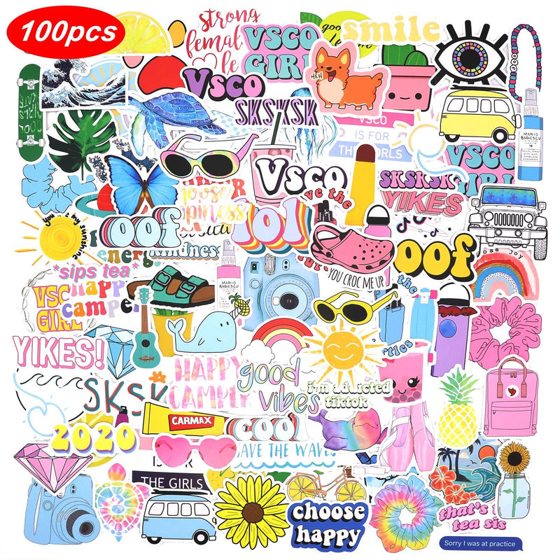 100 Pink VSCO Stickers, Aesthetic Stickers, Cute Stickers, Laptop Stickers, Vinyl Stickers, Stickers for Water Bottles, Waterproof Stickers for Kids Teen Girls, Sticker Packs - LeoForward Australia
