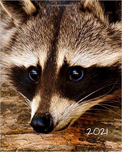 [AUSTRALIA] - 2021: Daily-Weekly-Monthly Calendar Planner Diary Appointment Desk Organizer: January 1st 2021 - December 31st 2021: Raccoon Wildlife