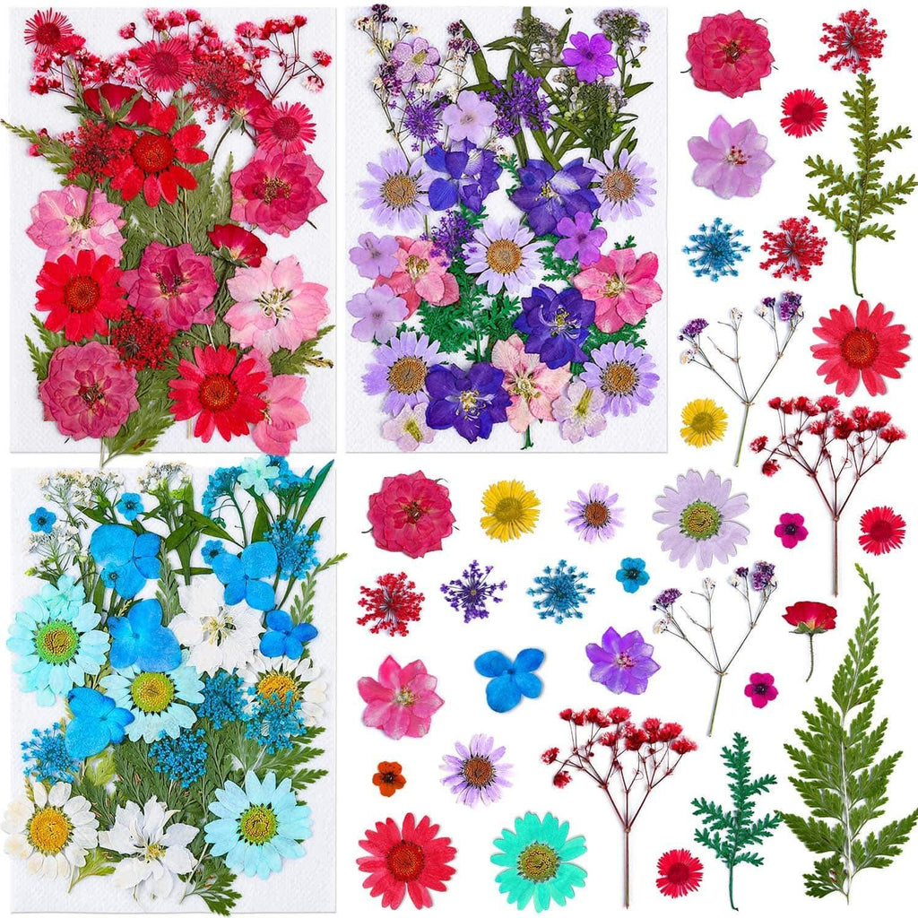 Pressed Dried Flowers for Resin, Thrilez 100Pcs Natural Dried Flower Herbs kit for Resin Jewelry Making Soap and Candle Making(Blue, Purple, Red) Blue, Purple, Red - LeoForward Australia