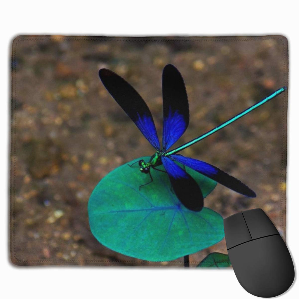  [AUSTRALIA] - Mouse Pad Matrona Cyanoptera Dragonfly Green Leaf Anti-Slip Mousepad Gaming Mouse Mat Pads with Stitched Edge Cute Funny Personalized for Girls Working Office Study PC Computers