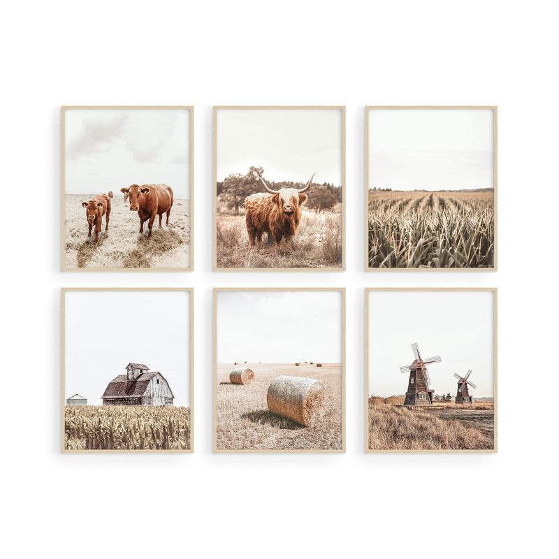 [AUSTRALIA] - HAUS AND HUES Highland Cow Art and Farmhouse Wall Decor Cow Wall Art and Farmhouse Pictures | Cow Decor | Cow Prints Wall Art | Highland Cow Wall Art Cow Pictures Wall Decor (8" x 10" UNFRAMED) 8x10