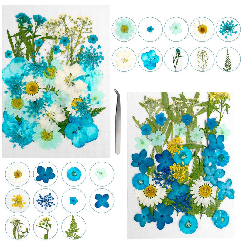 YRYM HT Dried Flowers-75 PCS Natural Blue Dried Flower Herbs Kit for Bath, Soap Making, Candle Making and Resin Jewelry Making Art Floral Decors - LeoForward Australia