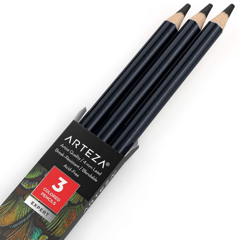  [AUSTRALIA] - Arteza Colored Pencils, Pack of 3, A018 Storm Grey, Soft Wax-Based Cores, Ideal for Drawing, Sketching, Shading & Coloring A018 Storm Gray