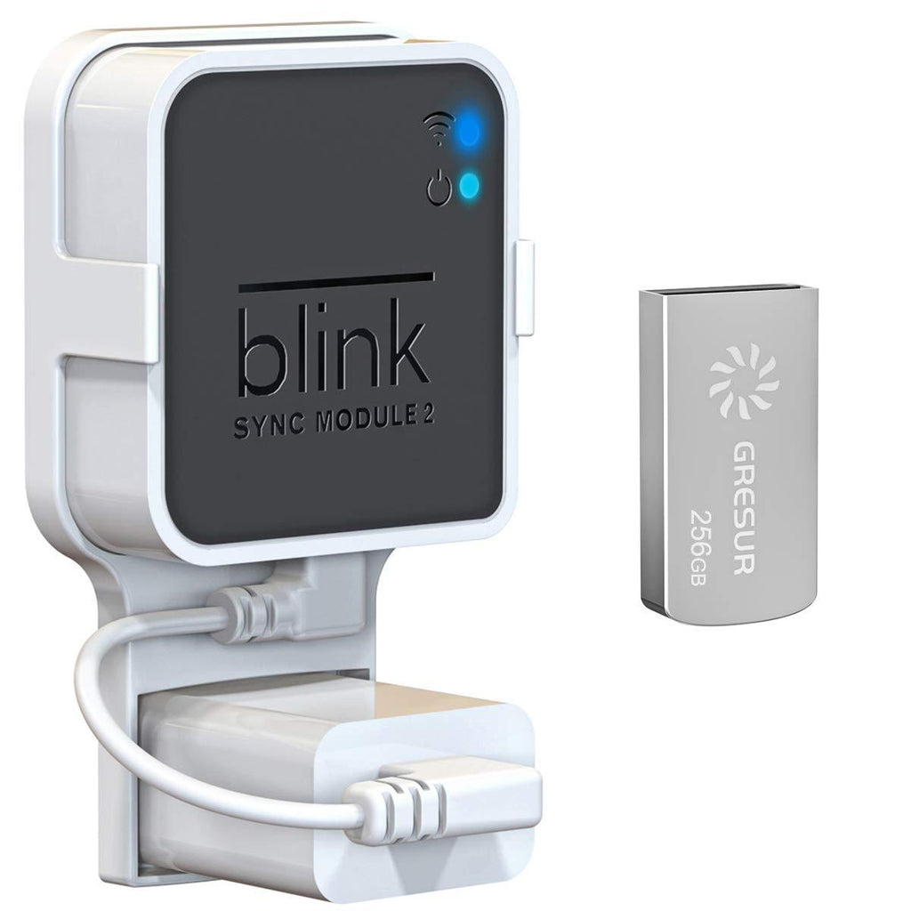 256GB Blink USB Flash Drive for Local Video Storage with The Blink Sync Module 2 Mount (Blink Add-On Sync Module 2 is NOT Included) 256 GB + 1 Pack White - LeoForward Australia