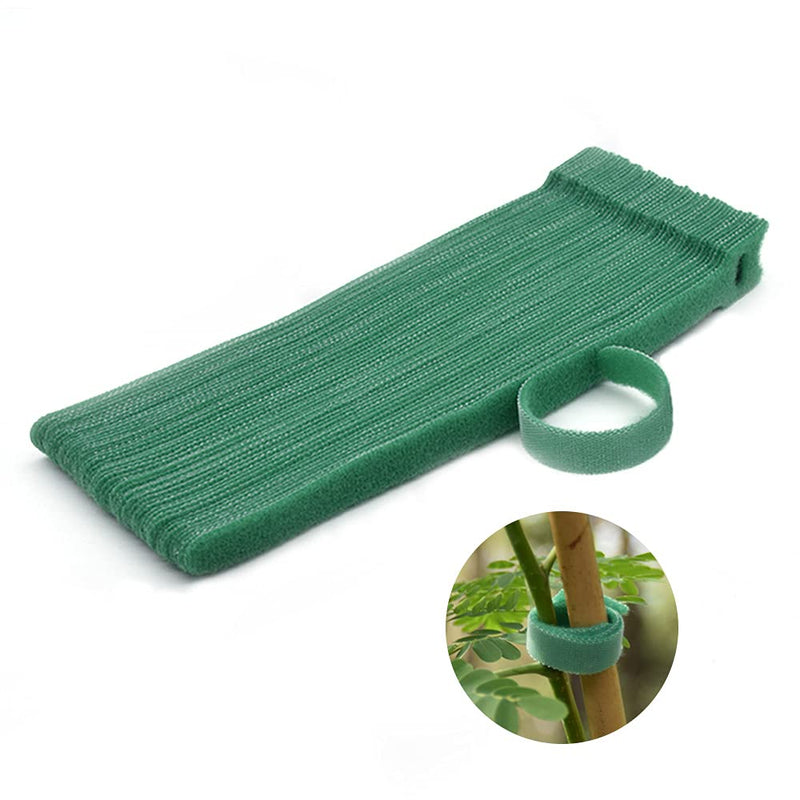  [AUSTRALIA] - Garden Hook＆Loop Plant Cable Ties, Adjustable Garden Nylon Ties for Supporting Plant and Vines, Multi-functional Garden Ties(50 Pcs, 8 Inch, Green) 50